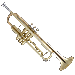 Icon showing a brass instrument