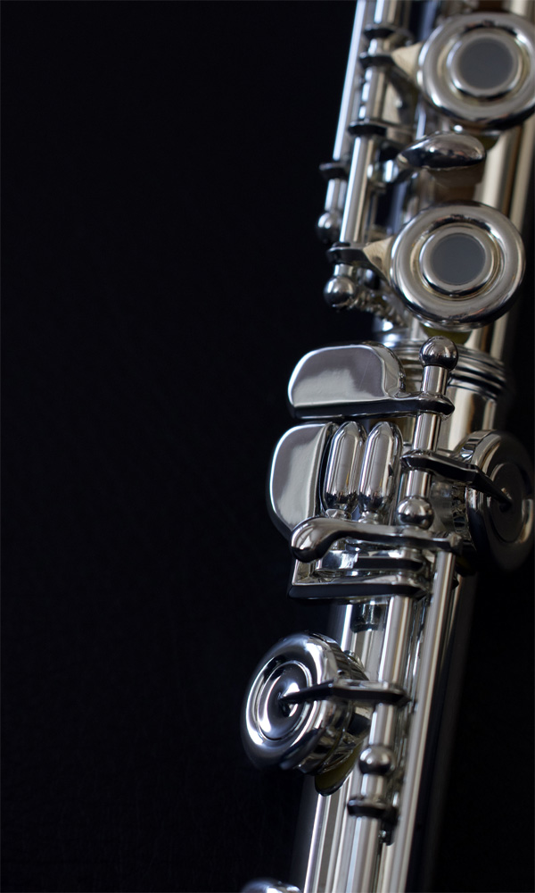 Leblanc Flute in Case