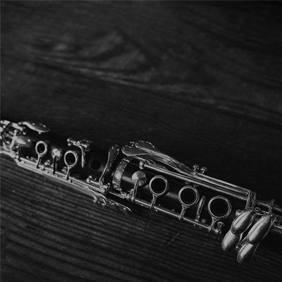 Closeup of Evolution Special Clarinet Barrel